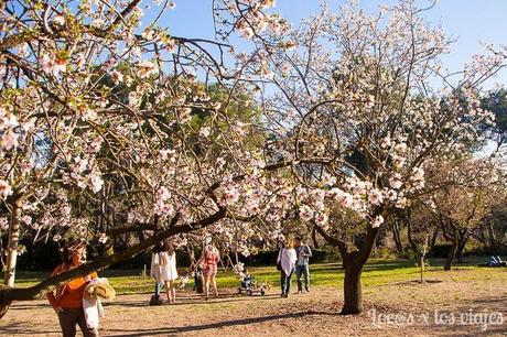 1553902241_74_Los-almendros-en-flor-de-la-Quinta-de-los-Molinos Los almendros en flor de la Quinta de los Molinos
