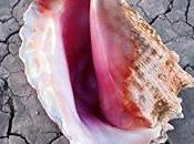 Temporada Programa Killers “Wonderful Wonderful” (2017)