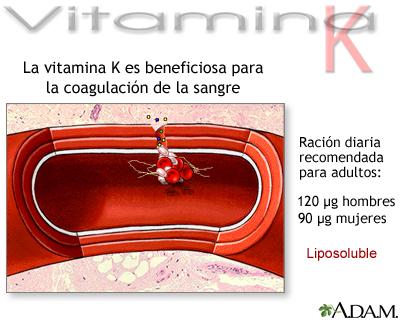 Contenido de vitamina K en alimentos
