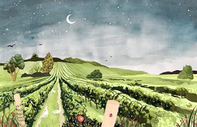 CUECA DEL VINO NUEVO…