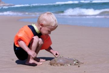 Picaduras de medusas en niños durante las vacaciones Picaduras de medusas en niños durante las vacaciones