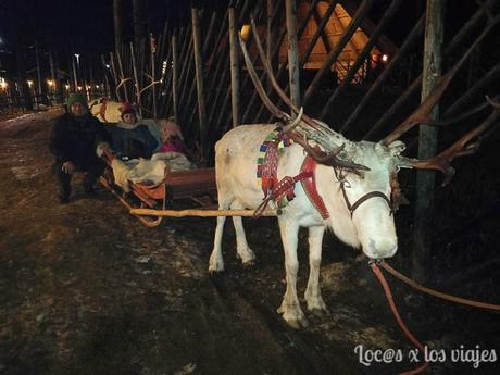 Laponia con niños: Cómo organizar un viaje por libre para ver a Papá Noel Laponia-con-niños-16 Laponia con niños: Cómo organizar un viaje por libre para ver a Papá Noel