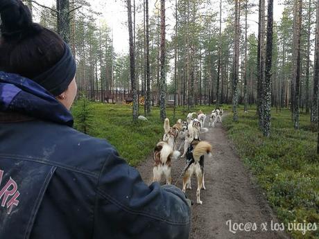 Laponia con niños: Cómo organizar un viaje por libre para ver a Papá Noel Laponia-con-niños-11 Laponia con niños: Cómo organizar un viaje por libre para ver a Papá Noel