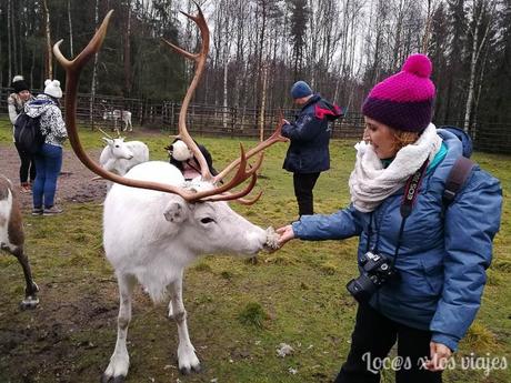 Laponia con niños: Cómo organizar un viaje por libre para ver a Papá Noel Laponia-con-niños-5 Laponia con niños: Cómo organizar un viaje por libre para ver a Papá Noel