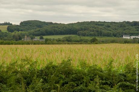 Normandía viaje roadtrip que visitar 