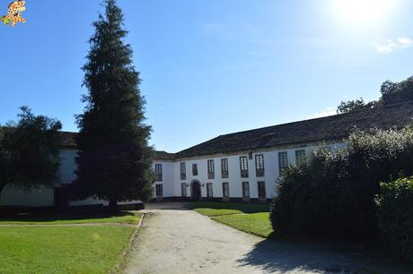 Pazo de Rivadulla y su magnífico paseo de olivos (Vedra)