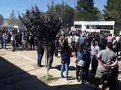 Fiesta Cordialidad Comallo 2019