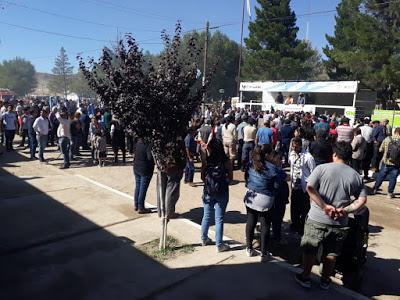 Fiesta de la Cordialidad Comallo 2019 Fiesta de la Cordialidad Comallo 2019