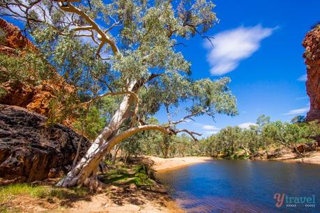 Glen-helen-gorge-area-176 ▷ Comente sobre cómo visitar Australia en 3 semanas: un itinerario de Famiglia en Fuga