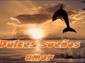 Dulces Sueños Amor
