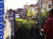 promueve campaña arborización…