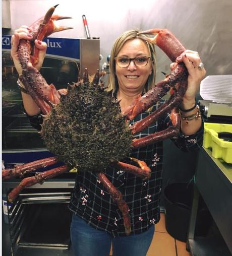 DEL PERIODISTA Y PROF. FERNANDO RAMOS DEL PERIODISTA Y PROF. FERNANDO RAMOS