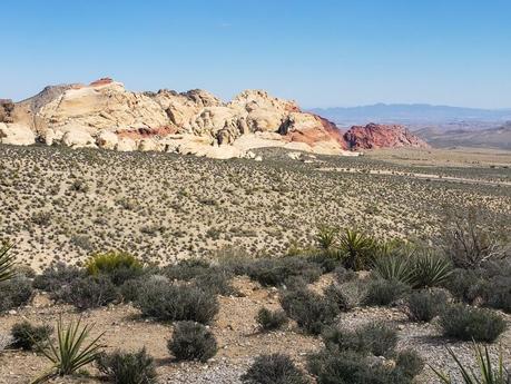 Red-Rock-Canyon-Las-Vegas-1 ▷ Semana 17: cautivado en lo que vive más allá de Las Vegas