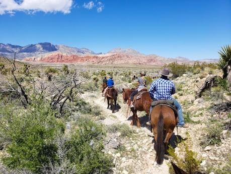 hores-riding-red-rock-canyon-vegas-1 ▷ Semana 17: cautivado en lo que vive más allá de Las Vegas