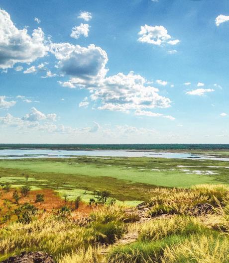 Kakadu-3 ▷ Trayendo A-Beauty Home de Australia