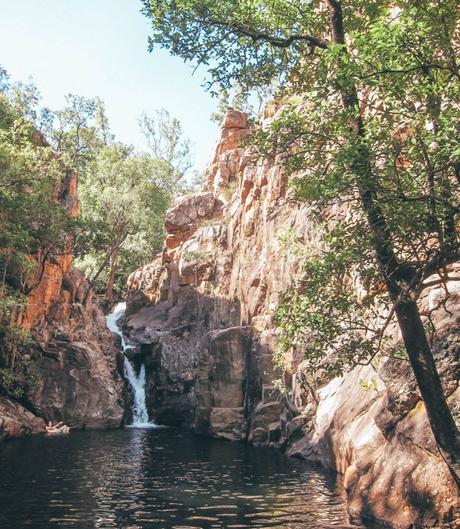 Kakadu-20 ▷ Trayendo A-Beauty Home de Australia