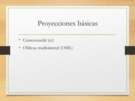 PROYECCIONES MASTOGRAFICAS