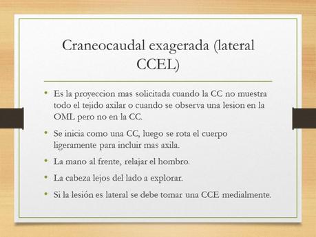 PROYECCIONES MASTOGRAFICAS