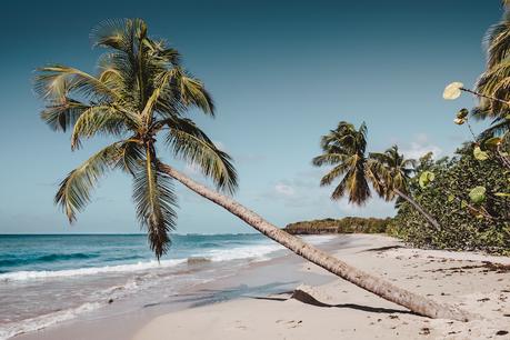 martinique-safest-carribean-island ▷ 10 de las islas más seguras del Caribe (¡y dónde alojarse!)