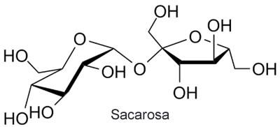 sacarosa