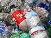 Brigadas Verdes. Trabajo Campo alumnas primaria