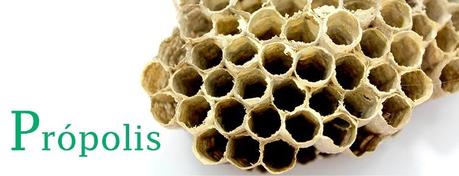 propolis superalimento