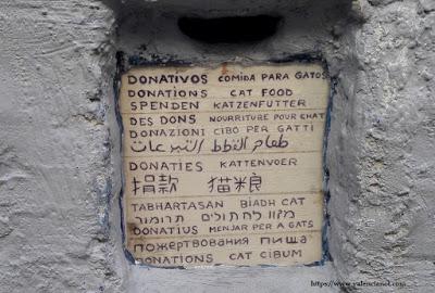 La gran mentira de la Casa de los Gatos (València).