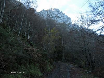 Taranes-Vallemoru