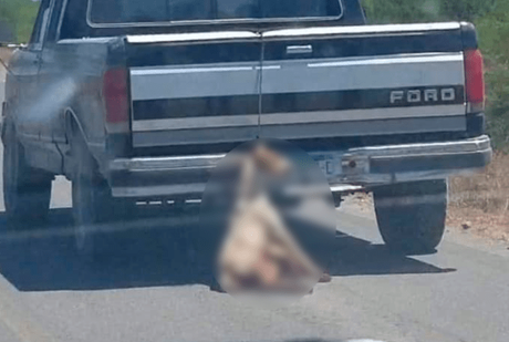 Denuncia: conductor arrastró a un perro hasta la muerte en Bocas