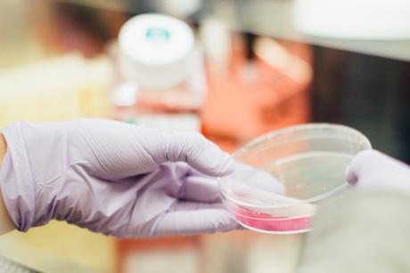 Las nuevas y prometedoras terapias en medicina