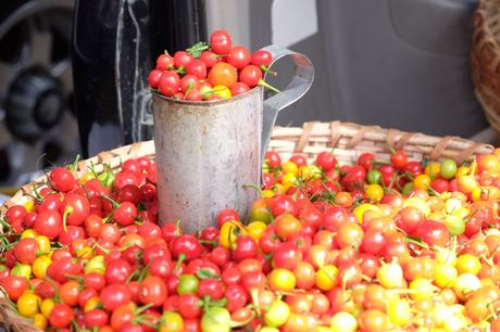 IMG_6130 ▷ Resumen mensual de AK: marzo de 2019