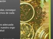 Descubre actualizada pirámide alimentación saludable