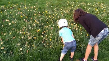 Cuentos sobre la primavera para entender mejor la vida