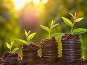 Errores frenan crecimiento negocio