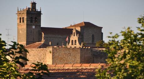 Que ver en Ledesma Santa María la Mayor
