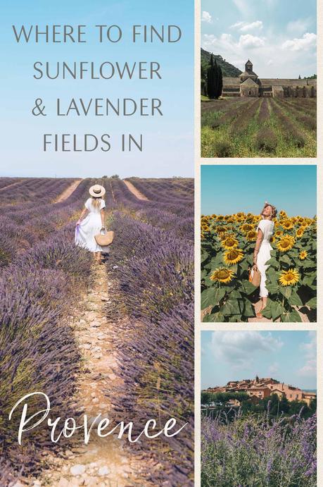 fields ▷ Dónde encontrar campos de girasol y lavanda en la Provenza