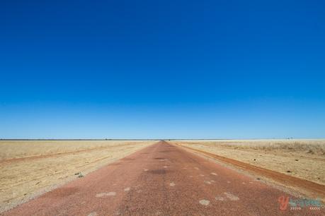 Greg-Downs-to-Adels-Grove-0041 ▷ Comenta sobre la guía definitiva para conducir el camino de la sabana en Queensland por Joyce van Beek