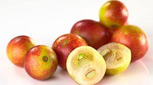 camu camu superalimento