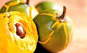lucuma superalimento