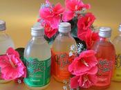 Kombucha KOMVIDA conociendo beneficios bebida milenaria