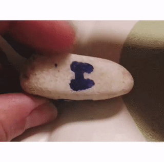 #MiércolesMudo 193: Dominó #MiércolesMudo 193: Dominó