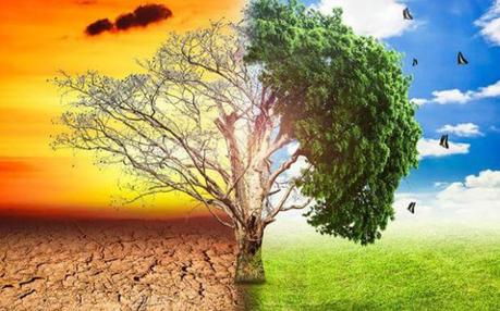 Nuevo informe: según el profesor noruego Ole Humlum, el calentamiento global y el “clima extremo” no se están acelerando