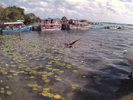 Chetumal: el inicio de la riviera maya