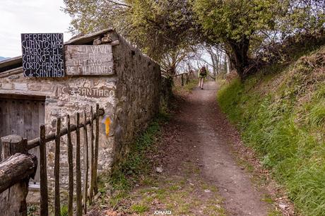 Camino Primitivo: De Tineo a Campiello.