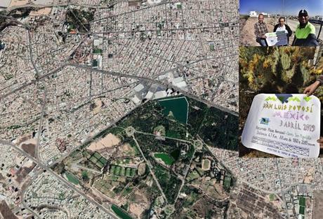 Realizan medición de la eficiencia de medios de transporte en SLP