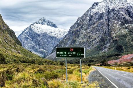 Road-to-Milford-Sound.jpg.optimal ▷ Itinerario de Nueva Zelanda: Viaje por carretera en la isla Norte y Sur