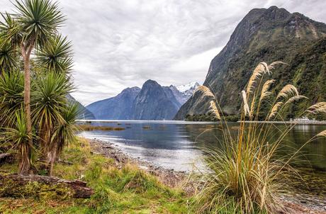 Milford-Sound.jpg.optimal ▷ Itinerario de Nueva Zelanda: Viaje por carretera en la isla Norte y Sur