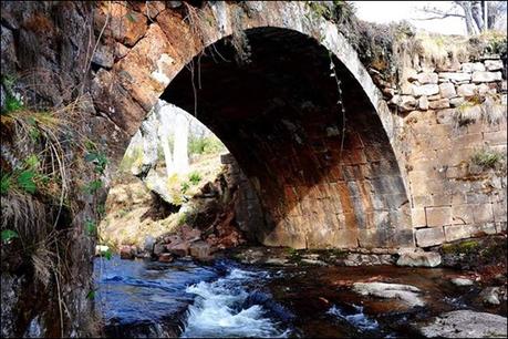 La gravedad de Rojadillo