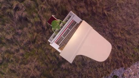 Dos ranas cantan contra el brexit en este indescriptible anuncio