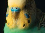 Libertad Delgado: maldición bruja beoda